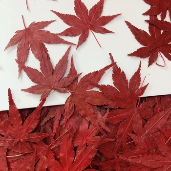 120pcs Pritisnete Suhe Rdeče Maple Leaf Cvet Herbarij Za Epoksi Smolo, Nakit, Izdelava Zaznamek Obraz Ličila Nail Art Craft