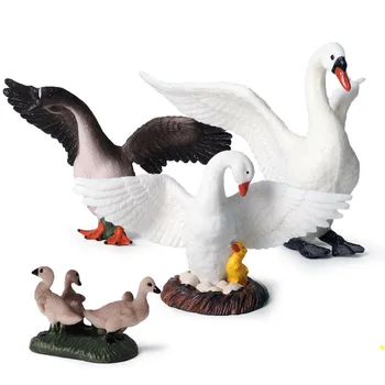 White Swan/Raca Živali Slika Zbirateljske Igrače Divje Živali Figuric Otroci Plastične Igrače Cementa
